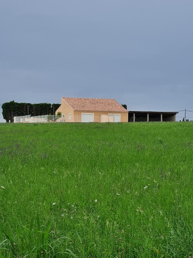 Paquerette Villa Arles Kültér fotó